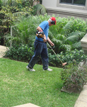 Cleaning | Sydney Cleaning | garden maintenance